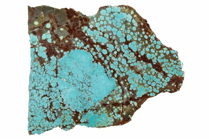 Polished Turquoise Slab - Number Mine, Carlin, NV #292320